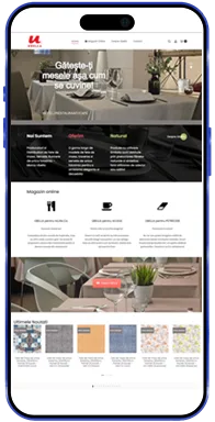 portofoliu web design